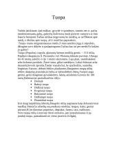 Miškas - gamtos tvirtovė (tuopa) 10 puslapis