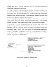 "X" prekės ženklo vartotojų sprendimo priėmimo proceso modeliavimas 14 puslapis