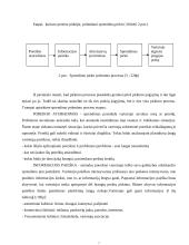 "X" prekės ženklo vartotojų sprendimo priėmimo proceso modeliavimas 7 puslapis