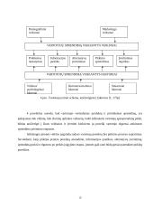 "X" prekės ženklo vartotojų sprendimo priėmimo proceso modeliavimas 10 puslapis
