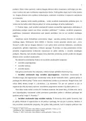 Verslo socialinė bei moralinė atsakomybė 6 puslapis