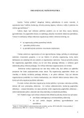 Viešoji politika ir informacijos vadyba 3 puslapis