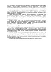Graikai (istorija) 18 puslapis