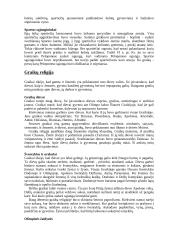 Graikai (istorija) 7 puslapis
