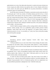 Eurooptimizmas, europesimizmas, eurorealizmas Lietuvoje 11 puslapis