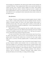 Eurooptimizmas, europesimizmas, eurorealizmas Lietuvoje 8 puslapis