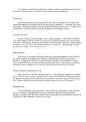 Hull uostas (pristatymas) 2 puslapis