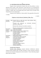 "X" įmonės personalo valdymas 13 puslapis