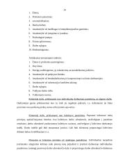 "X" įmonės personalo valdymas 14 puslapis