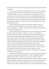 Kokiu būdu individo socialinė lokalizacija sąlygoja jo elgseną? 4 puslapis