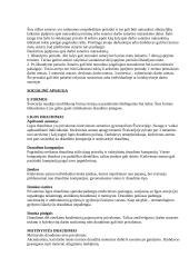 Valstybė: Šveicarija 13 puslapis