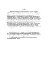 Vitaminai ir jų svarba žmogaus organizme 6 puslapis
