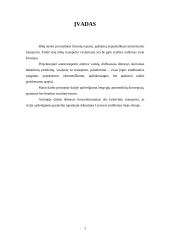 Autotransporto perspektyvos 2 puslapis