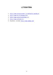 Bankų apsaugos priemonės 13 puslapis