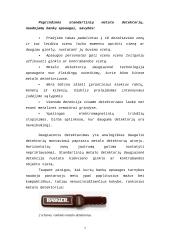 Bankų apsaugos priemonės 7 puslapis