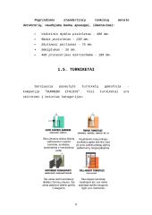 Bankų apsaugos priemonės 8 puslapis