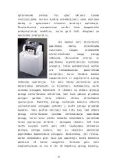 Bankų apsaugos priemonės 10 puslapis