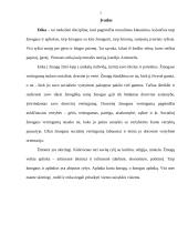 Etikos teorijos taikymas versle 3 puslapis