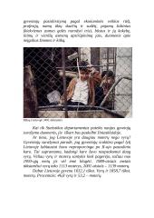 Lietuvos gyventojų surašymas 2 puslapis