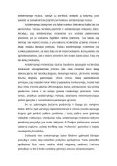 Maisto pramonės gaminių konkurencingumas 6 puslapis