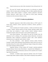 "X" įmonės marketingo planas 11 puslapis