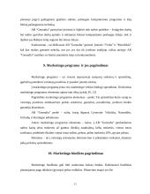 "X" įmonės marketingo planas 12 puslapis