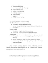 "X" įmonės marketingo planas 14 puslapis