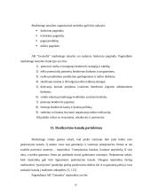 "X" įmonės marketingo planas 15 puslapis