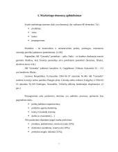 "X" įmonės marketingo planas 6 puslapis