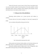 "X" įmonės marketingo planas 10 puslapis
