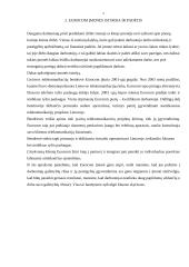 "X" įmonės užduotys ir pavaldinių galimybių ribos 5 puslapis