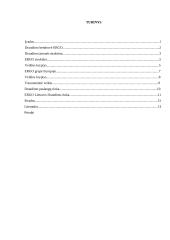 "X" įmonės veiklos charakteristika 2 puslapis