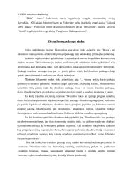 "X" įmonės veiklos charakteristika 12 puslapis