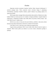 "X" įmonės veiklos charakteristika 15 puslapis