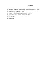 "X" įmonės veiklos charakteristika 16 puslapis