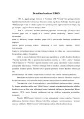 "X" įmonės veiklos charakteristika 4 puslapis