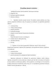 "X" įmonės veiklos charakteristika 5 puslapis