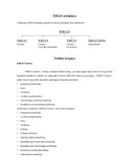 "X" įmonės veiklos charakteristika 7 puslapis