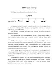 "X" įmonės veiklos charakteristika 9 puslapis