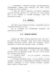 UAB "Rola" įmonės verslo planas 12 puslapis