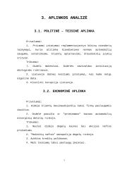 UAB "Rola" įmonės verslo planas 6 puslapis