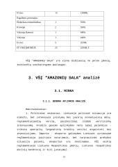 Ne pelno įmonių pajamos ir jų didinimo galimybės 11 puslapis