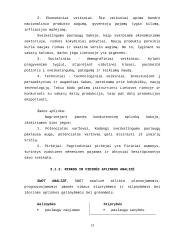 Ne pelno įmonių pajamos ir jų didinimo galimybės 12 puslapis