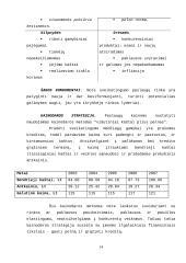 Ne pelno įmonių pajamos ir jų didinimo galimybės 13 puslapis