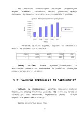 Ne pelno įmonių pajamos ir jų didinimo galimybės 16 puslapis