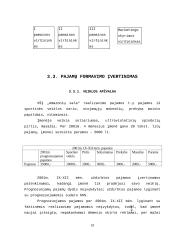 Ne pelno įmonių pajamos ir jų didinimo galimybės 18 puslapis