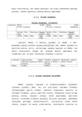 Ne pelno įmonių pajamos ir jų didinimo galimybės 19 puslapis