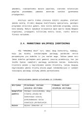 Ne pelno įmonių pajamos ir jų didinimo galimybės 20 puslapis