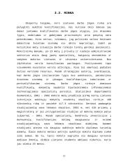 Nedarbas bei užimtumo politika Lietuvoje 11 puslapis