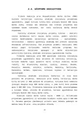 Nedarbas bei užimtumo politika Lietuvoje 13 puslapis